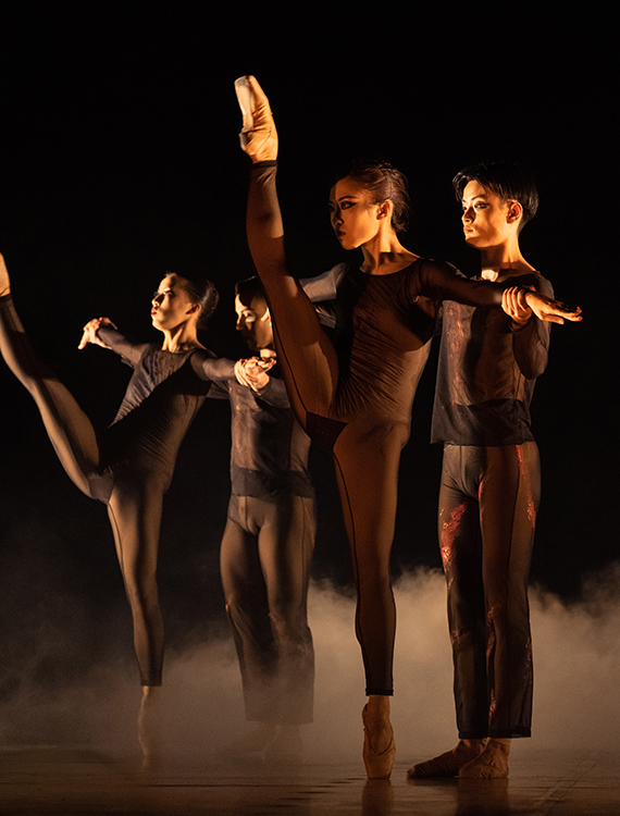 Ballet de Barcelona, Foto de la pàgina oficial